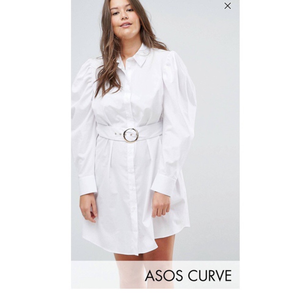 Asos Curve Shirt Dress